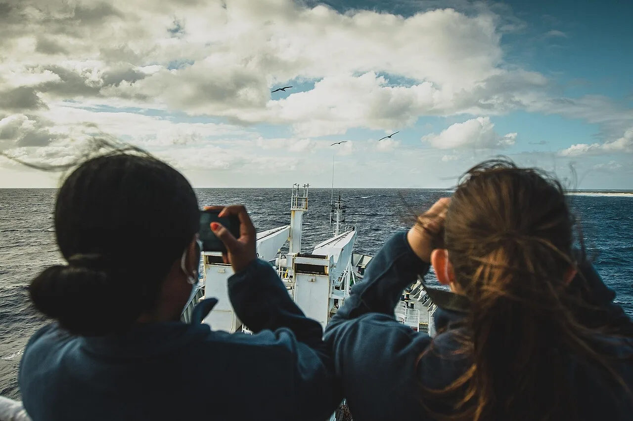 Personne observant des oiseaux marins avec des jumelles et prenant des photos en extérieur.